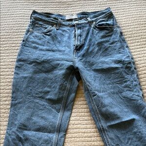 Everlane High Rise Blue Jeans